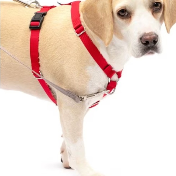 PetSafe Sure-Fit Adjustable Back Clip Dog Harness - Picture 3 of 9